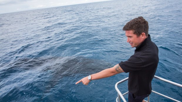 Former Socceroos star Harry Kewell goes whale watching in Hervey Bay.