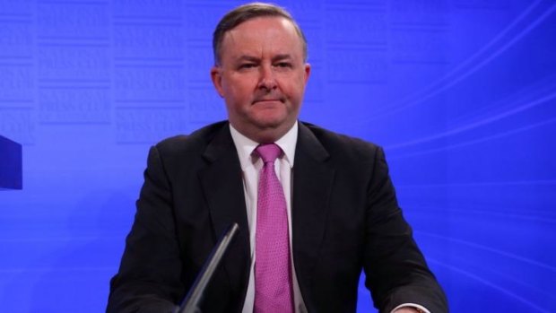 Anthony Albanese has released details of Labor's cities policy.