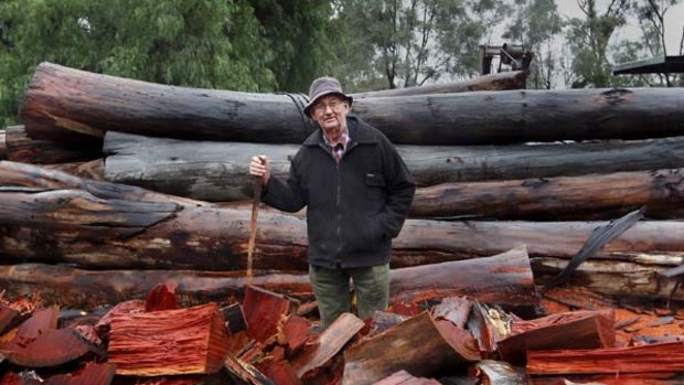 Jerry Swan, 78, Barmah Timber mill owner. <i>Photograph: Simon O'Dwyer</i>
