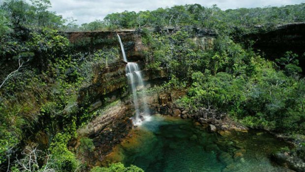 Prime Minister Tony Abbott should follow the lead of former Liberal leaders by nominating the Cape York Peninsula for World Heritage status, writes Andrew Picone.