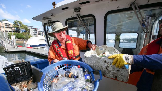 Clean Up Australia Day volunteers battle the bottle scourge in Sydney's waterways in March this year.