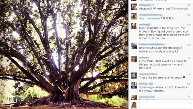 Lara Bingle posted a picture of herself in front of a Moreton Bay Fig at Kings Park on Instagram with the caption 'in awe of nature'.