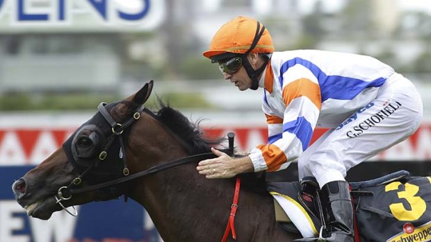 Bound for glory &#8230; Le Roi's Summer Cup win, with Glyn Schofield, on Wednesday advances his Melbourne Cup campaign.