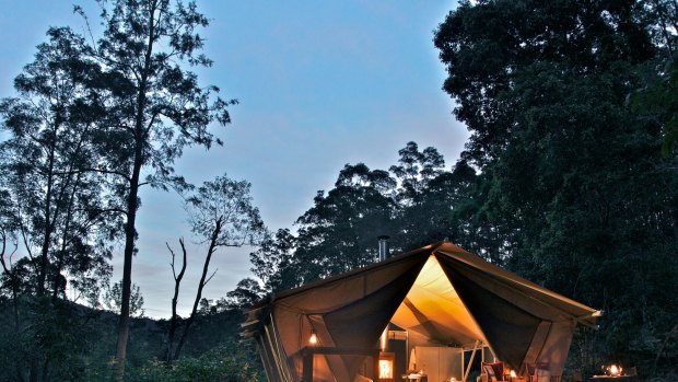 A luxury tent at sunset, Nightfall Wilderness Camp.