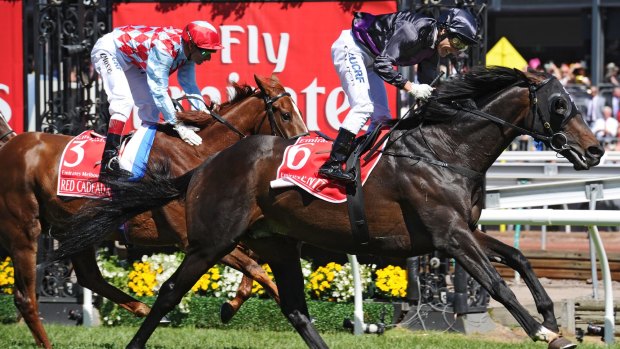 Old marvel: Red Cadeaux (left) finishes second to Fiorente in the 2013 Melbourne Cup.