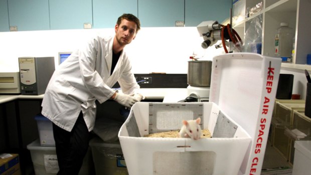 Risks … Lachlan Barber tests Ritalin's effects in the lab.