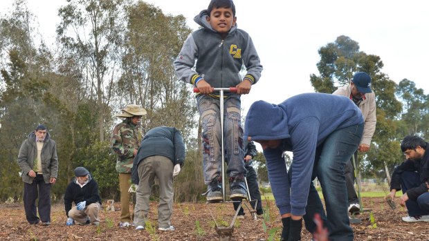 Members of the Ahmadiyya Muslim community take part in National Tree Day.1 Kamal Ahmed and Waji Ahmed, both aged 11, help elders plant trees at Waratah reserve, Eumemmerring.