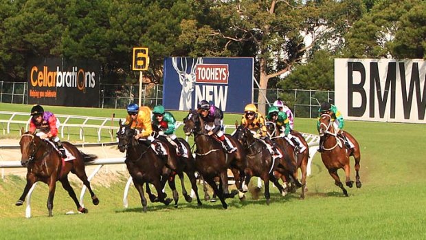 Big finish: Winner Silent Achiever (yellow colours) sets out after leader Carlton House.