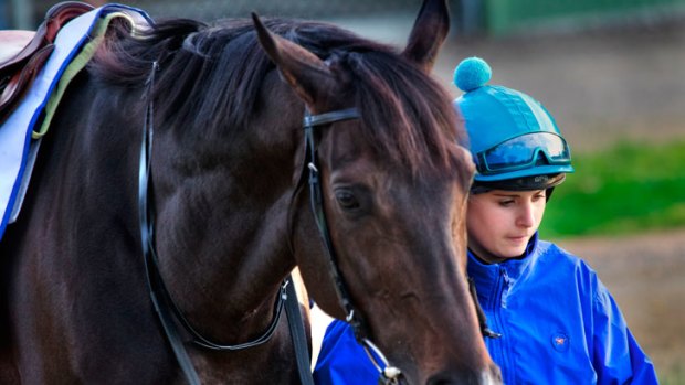 French trained Melbourne Cup winner Americain is pictured in training at Werribee racecourse with Strapper & track jockey Louise Zuilli. <i>Photo: Craig Sillitoe</i>