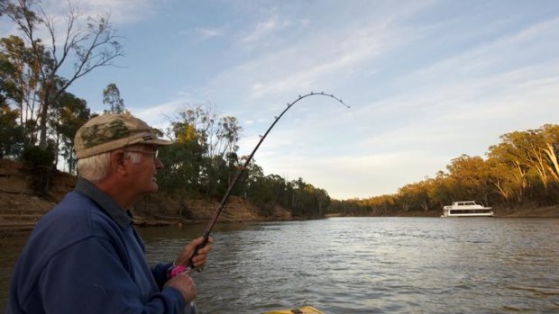 Ian Serpell fishing for the elusive Murray Cod near Echuca.