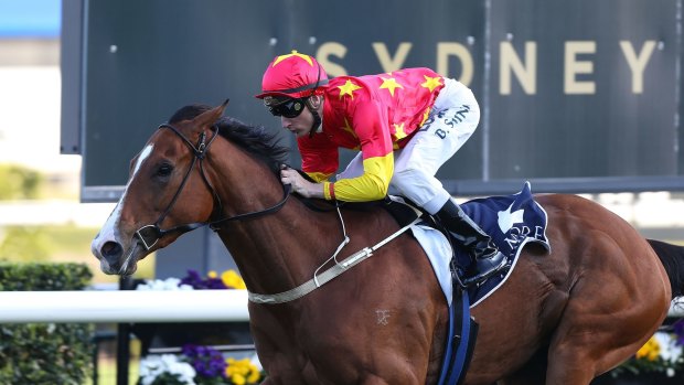 First flight: John Thompson's First Seal takes the Flight Stakes at Randwick in October.