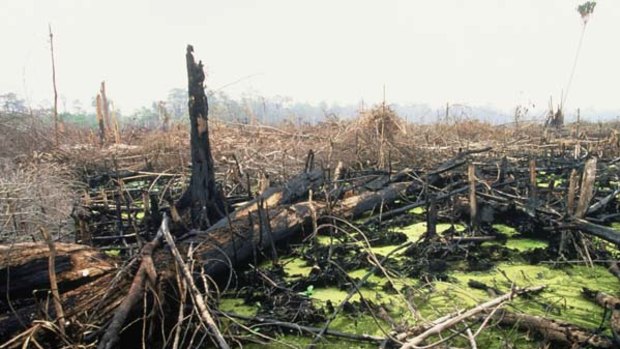 Indonesia wants to combat deforestation, but it can't be used by Australia as a way to circumvent dealing with the real cause of climate change - fossil fuel use.