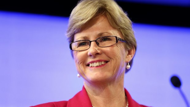 Former Australian Greens leader Christine Milne says Chris Jordan is 'good at reading the government's temperature'.