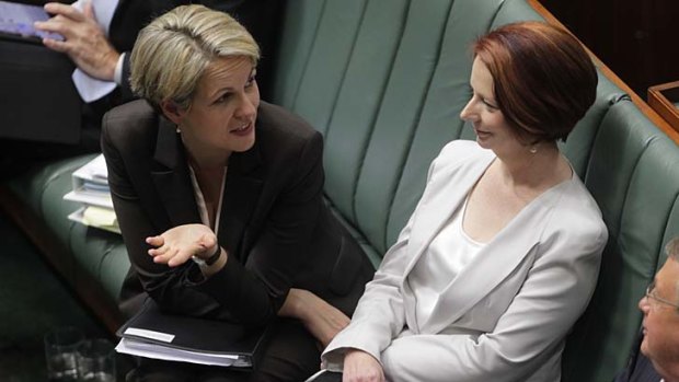 Tanya Plibersek, pictured with former prime minister Julia Gillard in 2012, said: "In large part, the feminists of the hit squad arrived on the ground after the game was over. Julia Gillard, I think, felt very much alone."