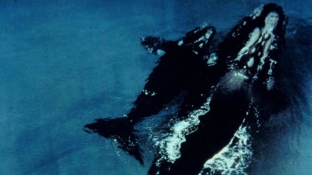 Southern right whales: Scientists can now monitor pods of whales from space.