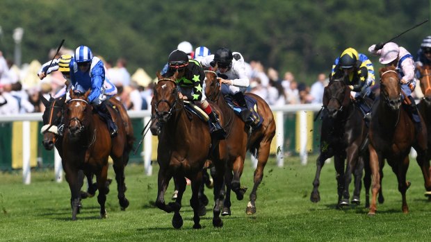 Royal standard: John Valazquez rides Lady Aurelia (black and green colours) to win the King's Stand Stakes at Royal Ascot on Tuesday.