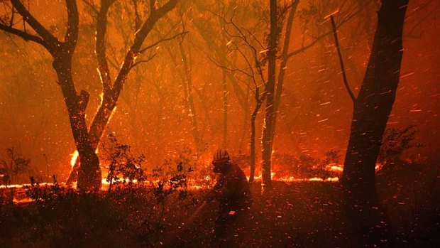 A Rural Fire Service firefighter retreats from the flames while protecting homes near Dargon, in the Blue Mountains, in October last year.