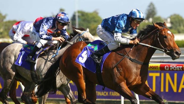 Class act: Malasun, the new favourite for the Blue Diamond Stakes, wins the Preview for fillies at Caulfield 11 days ago.