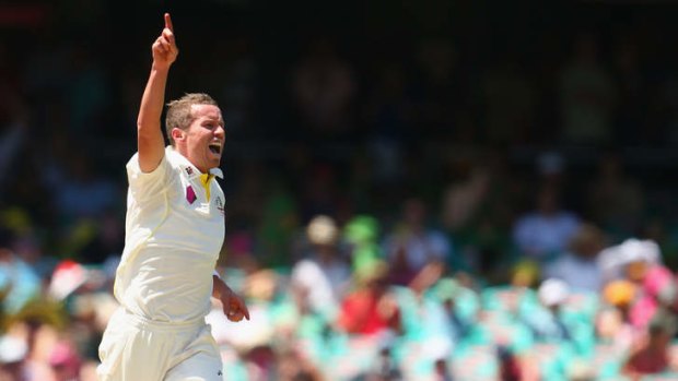 Familiar sight: Siddle celebrating a wicket.