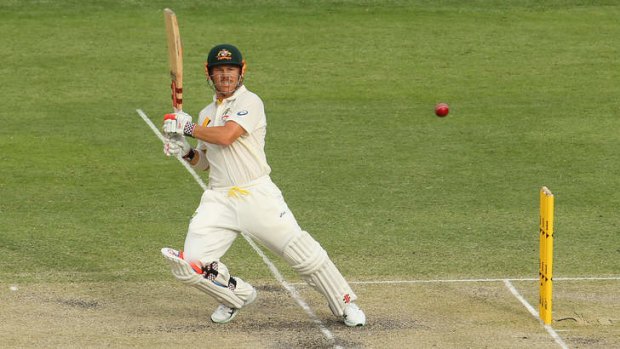Sizzling form: Ashes hero David Warner made his name in Twenty20.