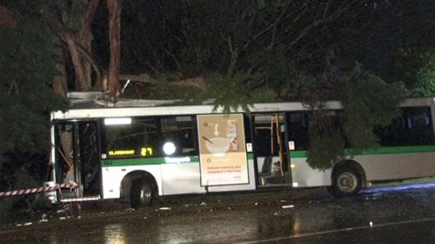 The Transperth bus slammed into a tree after a collision in Perth on Monday night.