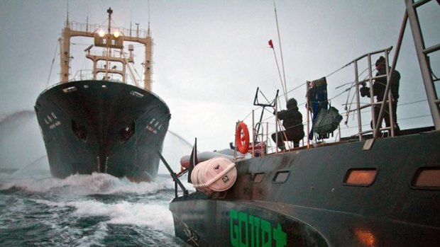 An activist aboard high-speed trimaran Gojira readies a slingshot towards Japanese whaling factory ship Nisshin Maru during an encounter in Southern Ocean, Antarctica in February this year.