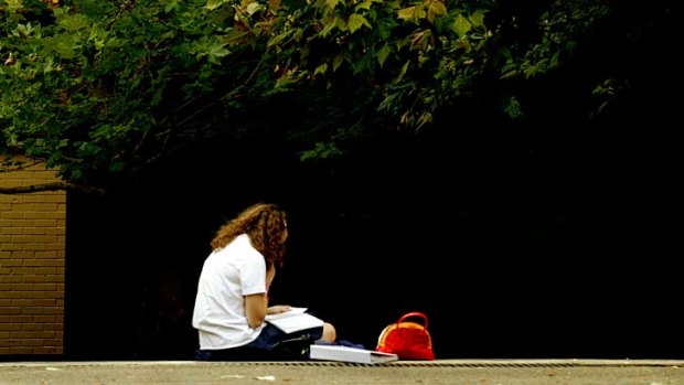 Education standards in decline: Recent figures from the PISA report point to reading and writing as taking the biggest hit.