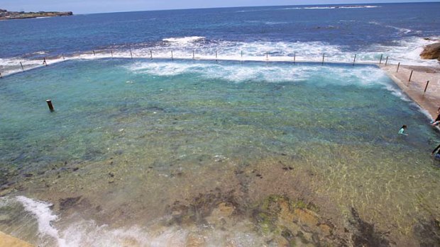 Time will tell ... Sam Camer reckons the marine life will return with the tide.