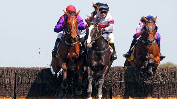 On right track: New safety regulations helped jumps racing, with just one fatality last season.
