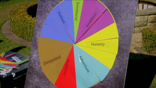 Sophie Monk's personality chart lacks intelligence. Literally.