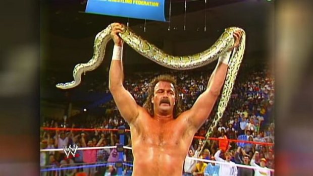 Jake 'the Snake' Roberts in the ring with 'Damien'.