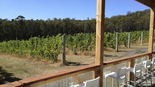One for the row: Bruny Island is famous for its provisions, be it wine, cheese or wallabies.