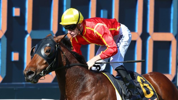 In a canter: Jockey Rory Hutchings rides Esteban to an easy win in The Schweppes Handicap.  