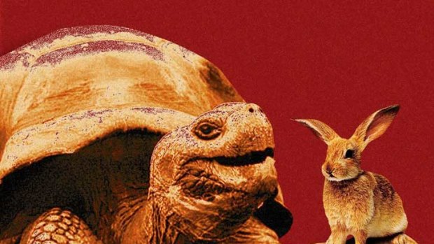 Tortoise and hare...there's a lot to be said for the slow but steady approach offered by bonds when it comes to investing.