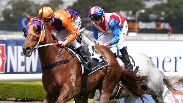 Forward march: Jay Ford and Our Boy Malachi combine to score at Rosehill.
