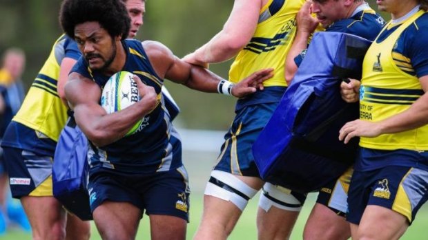Henry Speight is the best winger in the world according to his coach Stephen Larkham.
