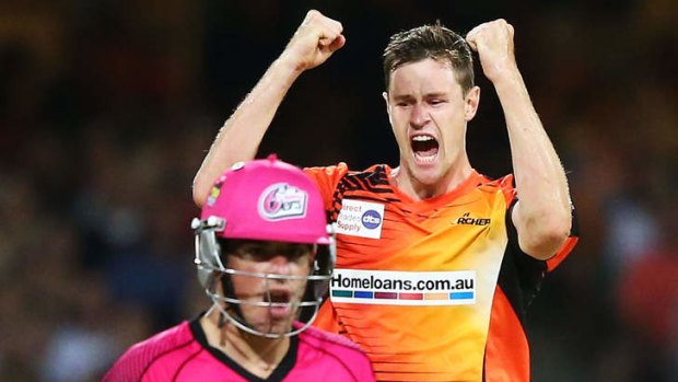 Contrasting fortunes: Jason Behrendorff of the Scorchers celebrates taking the wicket of Moises Henriques.