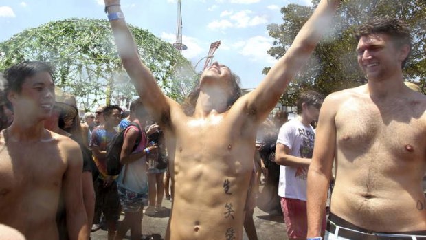Searingly good ... Music lovers endure the heat at Sydney's Big Day Out.