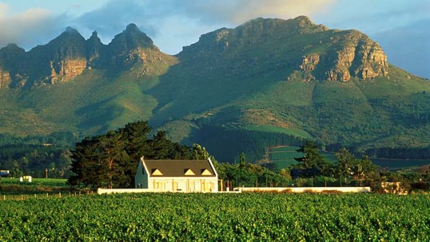 Tipple your fancy ... Stellenbosch Wine Route.