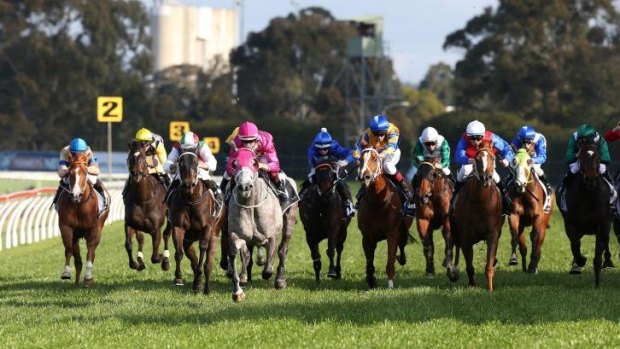 Class act: Catkins (pink) strides clear at Rosehill on Saturday.