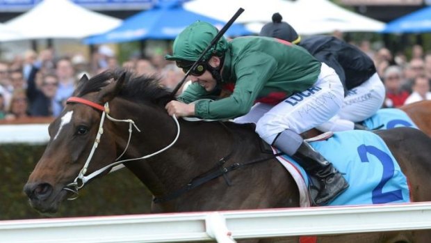 Win and bear it: Ryan Maloney finds it hard to hide his delight at taking last year's Zipping Classic aboard Sertorius.