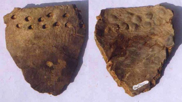 Two of the 20,000-year-old pottery fragments found in a cave in China.