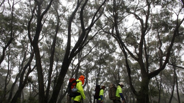 Lost ... six cayoners are missing in the Blue Mountains.