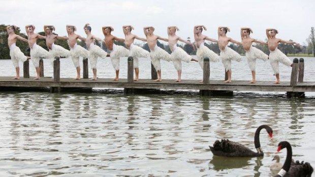 Male dancers from Matthew Bourne's production of <i>Swan Lake</i> pose on a jetty at Albert Park Lake.