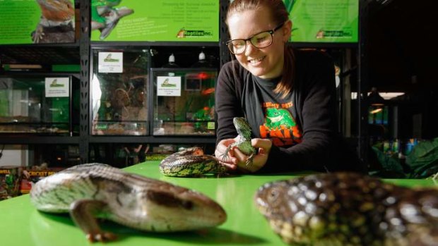 There are plenty of reptiles Canberrans can purchase and own as pets legally. Jessica Kelly, 17 of Gordon works at Reptiles Inc. from Kambah and holds an Eastern Bearded Dragon, also pictured is a Eastern Blotched Bluetongue, Shingleback Lizard and Eastern Bluetongue.