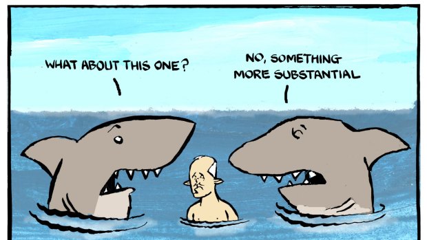 Dyson cartoon; re shark sightings , Turnbull, Age Letters 27 December 2016
