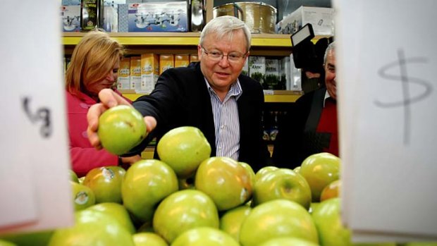 Prime Minister Kevin Rudd stacks the shelves after he delivered fruit to Abu Hussein mixed business in South Granville, Sydney.
