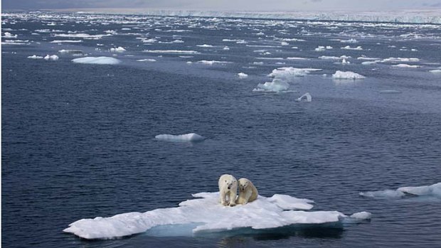 Vanishing ... the Arctic ice cap is likely to disappear by the middle of this century.