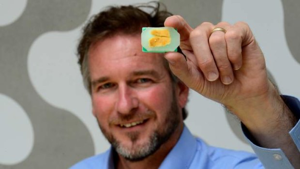 Florey institute researcher Dr Tim Aumann with a slice of brain tissue embedded in wax.