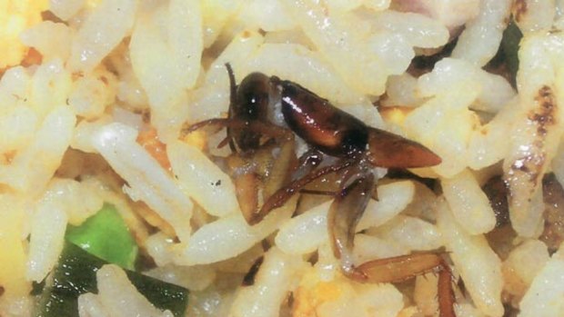 Crunchy...this partially consumed cockroach was discovered in fried rice at the Westlake restaurant.